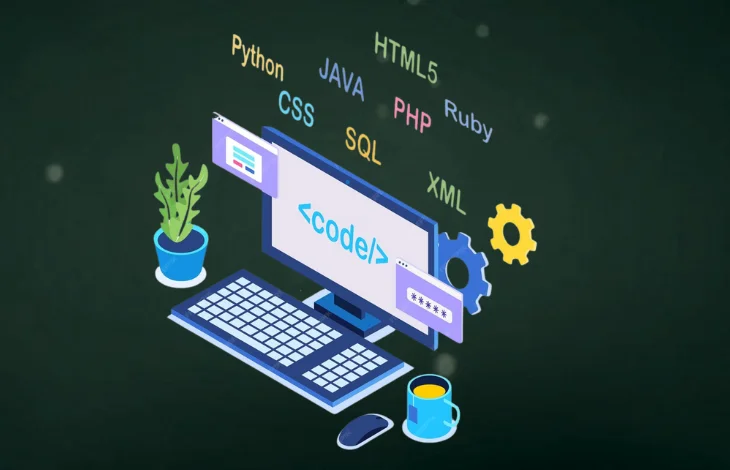 web development in auckland